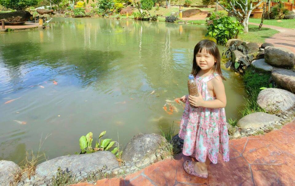 Beacon Resort kids experience fish feeding FULL FINAL