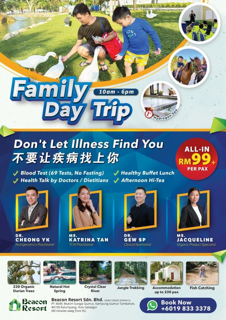 Family day trip package
