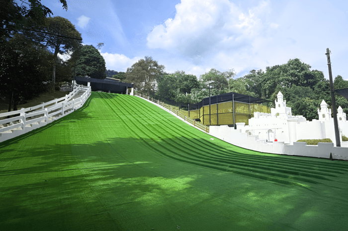 Grass sliding 2026