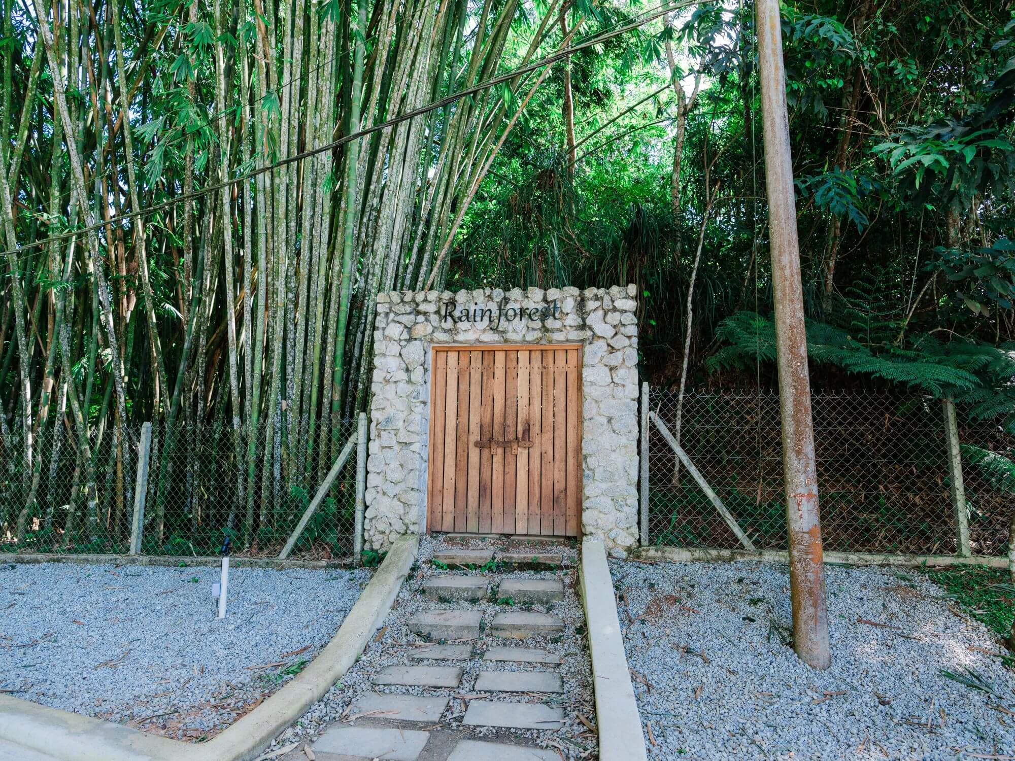 Jungle Trekking - Beacon Resort