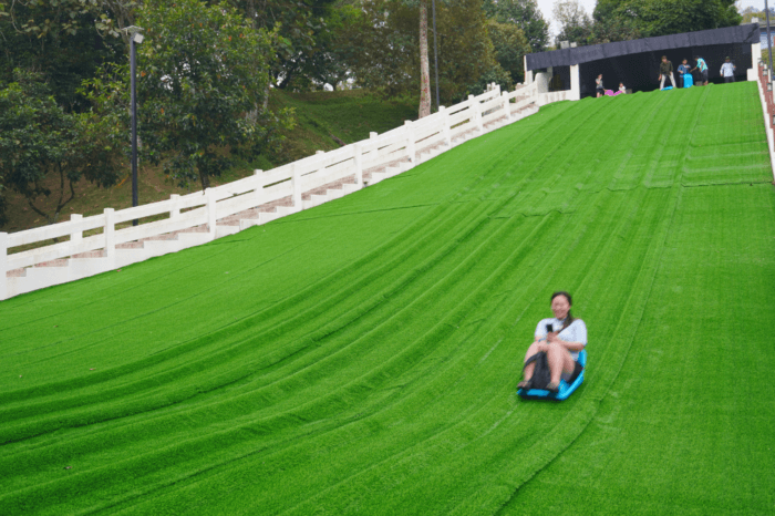 Grass sliding 2026