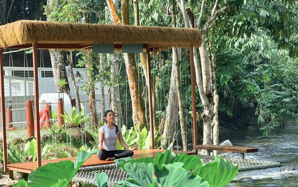 Inki river hammock