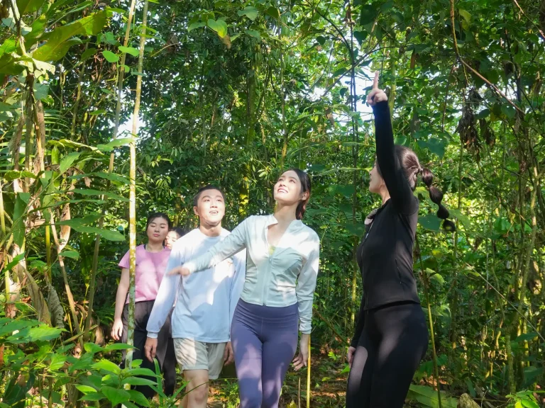 Jungle trekking