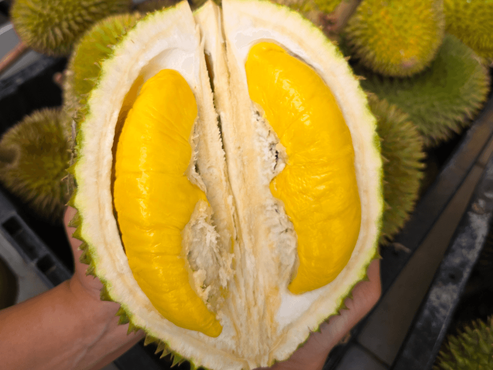 Durian