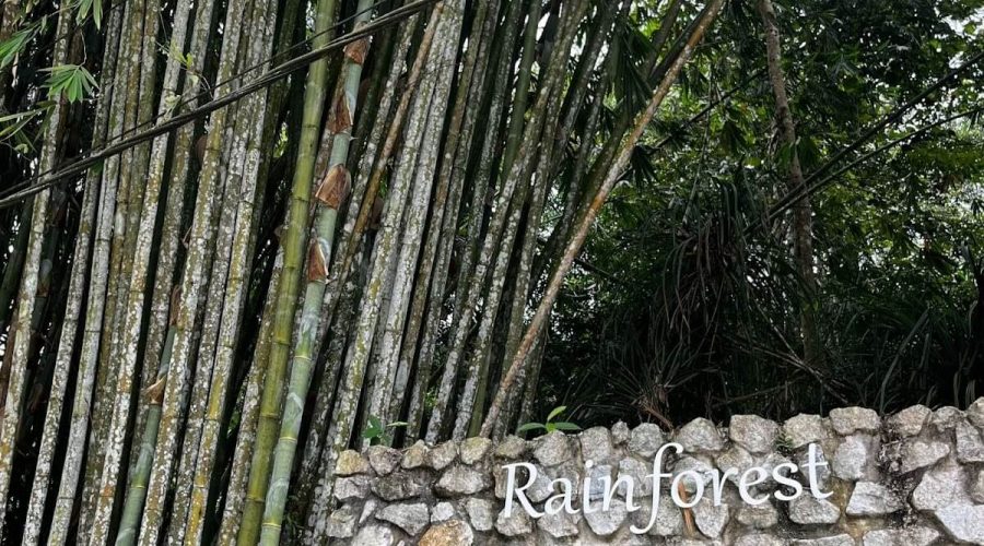 Jungle trekking entrance