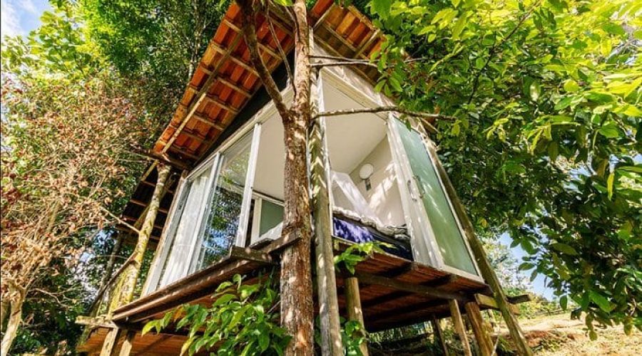 Plateau-Farm-Sustainable-Treehouse-Camp-Janda-Baik-2